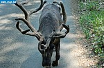 DSC_0128.JPG