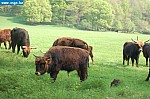 DSC_0135.JPG