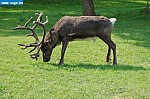 DSC_0150.JPG