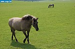 DSC_0155.JPG