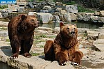 DSC_0164.JPG