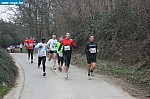IMG_4951.JPG