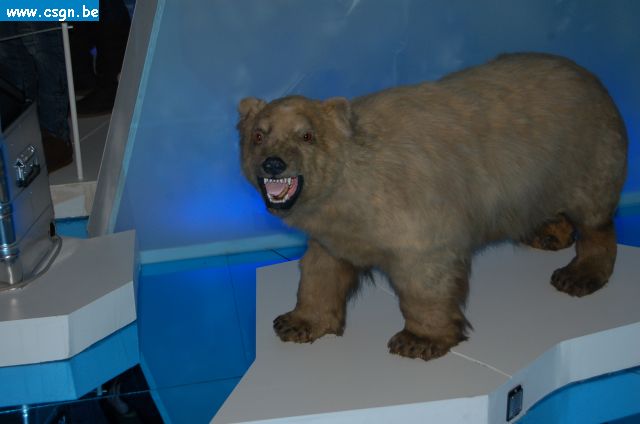 DSC_0031.JPG