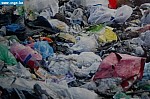 DSC_0074.JPG