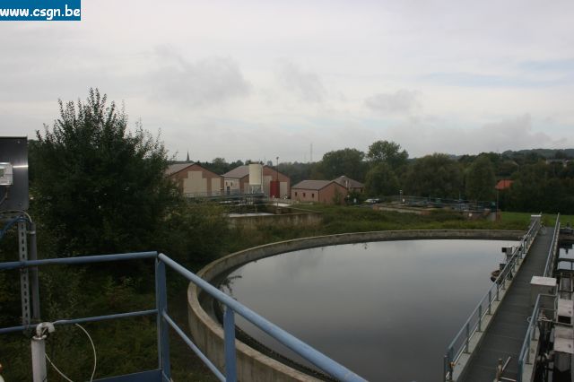 IMG_4354.JPG