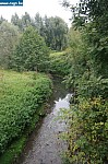 IMG_4363.JPG