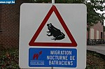 IMG_4365.JPG