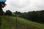 IMG_4366.JPG