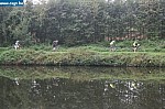 IMG_4367.JPG