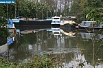 IMG_4413.JPG