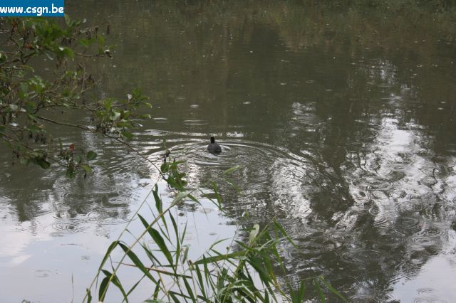 IMG_4458.JPG