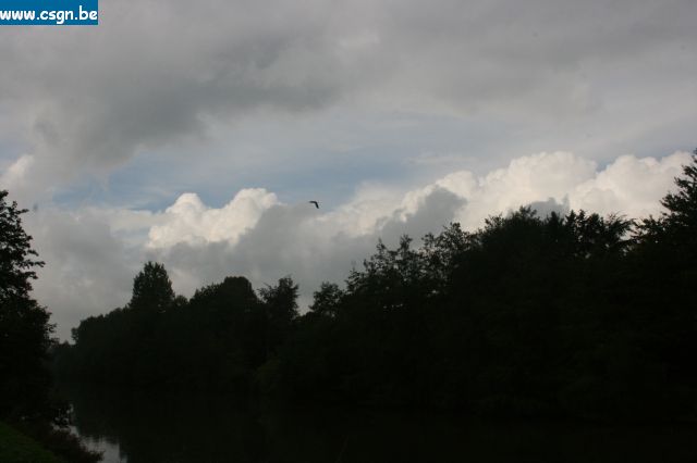 IMG_4460.JPG