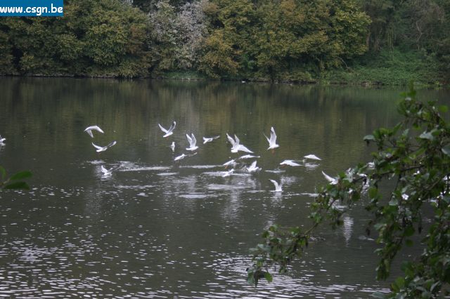 IMG_4486.JPG
