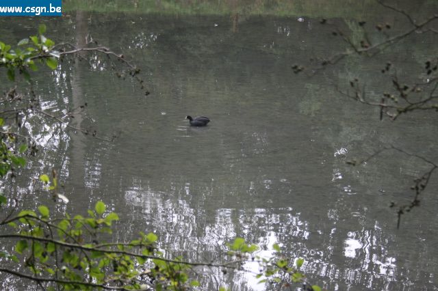 IMG_4494.JPG