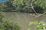 IMG_4456.JPG