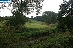 IMG_4457.JPG
