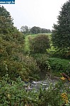 IMG_4459.JPG