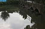IMG_4462.JPG