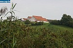 IMG_4477.JPG