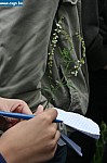 IMG_4481.JPG