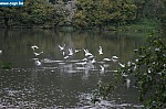 IMG_4486.JPG