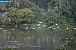 IMG_4492.JPG