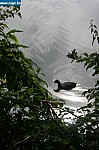 IMG_4500.JPG