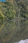 IMG_4501.JPG