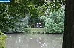 IMG_4504.JPG