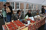 IMG_4516.JPG