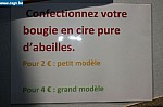 IMG_4524.JPG