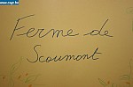 IMG_4527.JPG