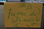 IMG_4534.JPG