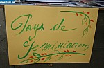 IMG_4536.JPG