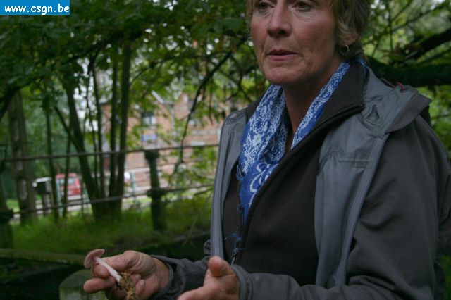 IMG_3260.JPG