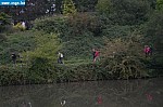 IMG_3255.JPG