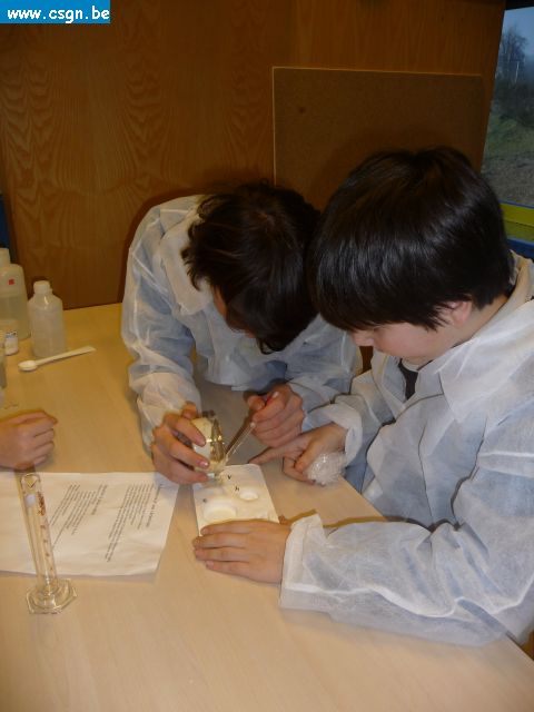 P1030167.JPG