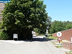 travauxat0004.JPG