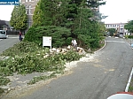 travauxat0039.JPG
