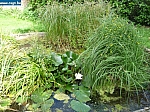 travauxbt0007.JPG