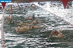 IMG_5057.JPG