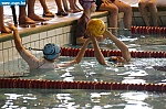 IMG_5075.JPG