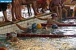 IMG_5080.JPG