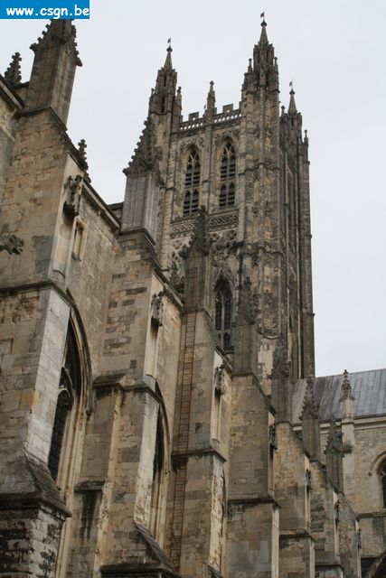 IMG_3491.JPG