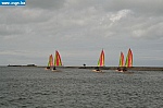 IMG_3320.JPG