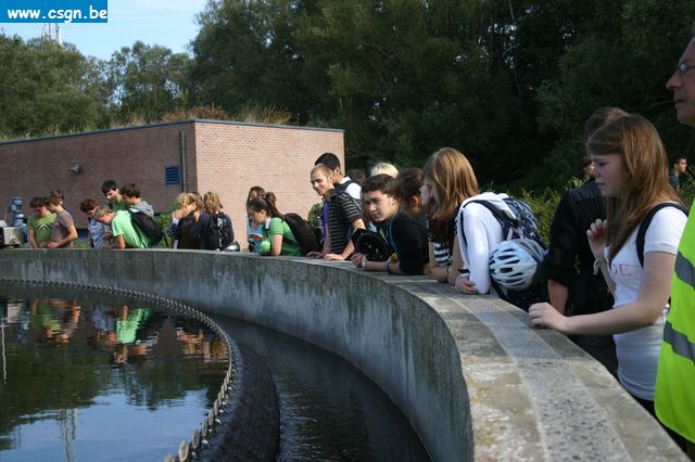 jv037.JPG