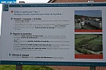 jv019.JPG