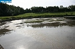 jv048.JPG