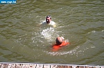sen060.JPG