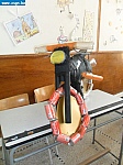 SAM_0667.JPG